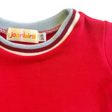 closeup of kids red shirt with trim 