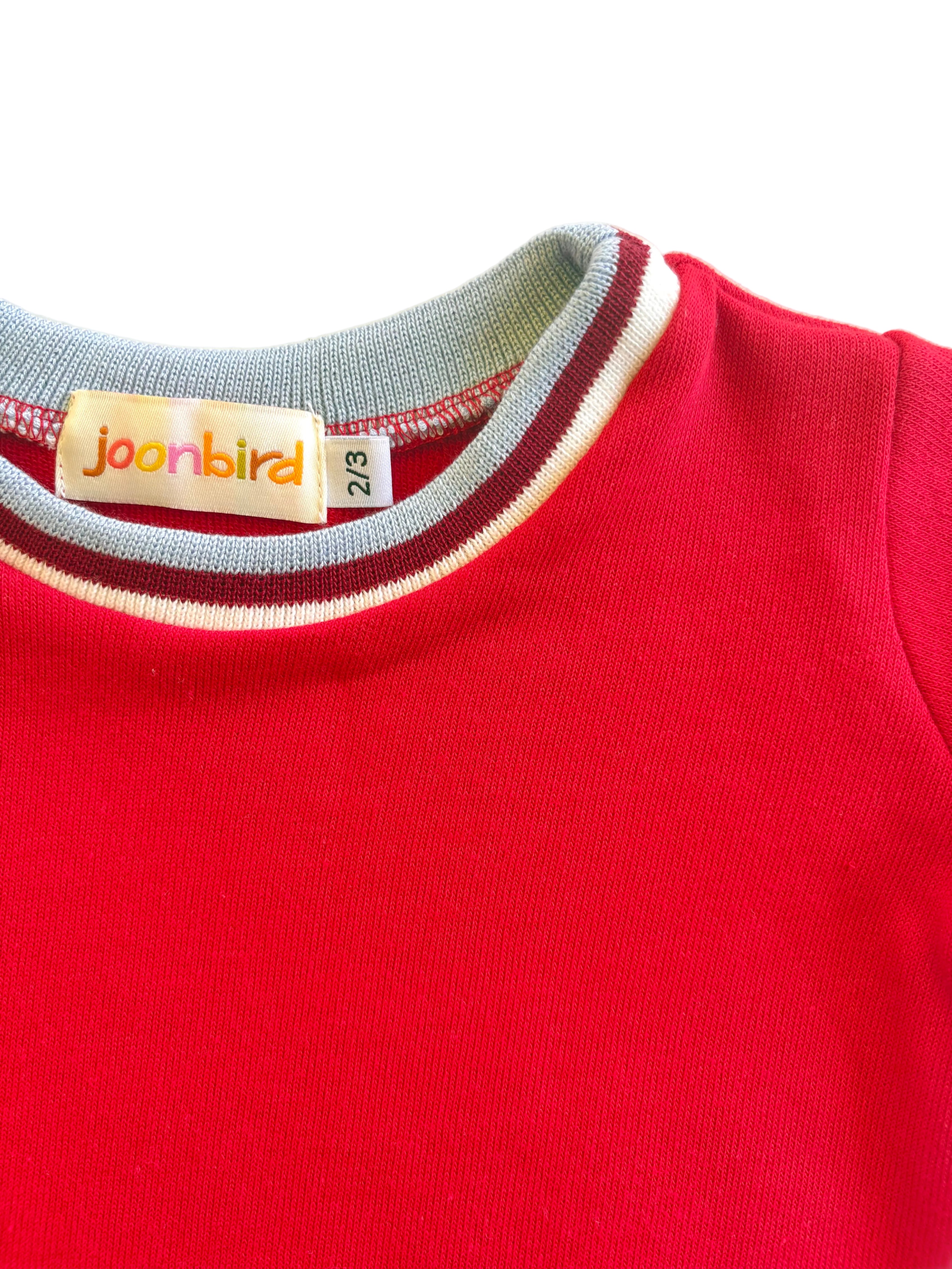 closeup of kids red shirt with trim 